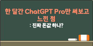 한달간 GPT pro