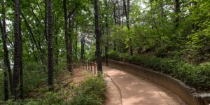 국내 힐링 여행지의 고요한 숲길을 걷는 여행자의 모습